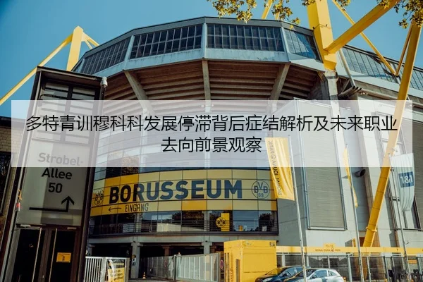多特青训穆科科发展停滞背后症结解析及未来职业去向前景观察